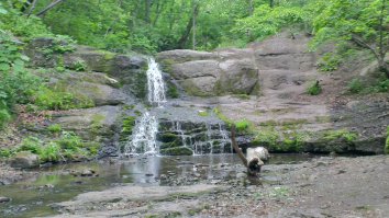 Приморский край, Хасанская тайга, ареал обитания леопарда.