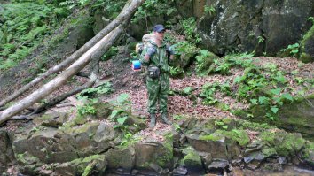 Приморский край, Хасанская тайга, ареал обитания леопарда.