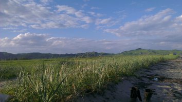 Приморский край, п. Славянка.