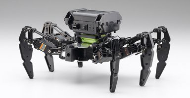 Я во сне армаду из таких вот пауков видел