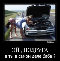 Очередная подборка автоприколов