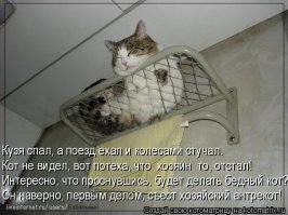 Прикольные фото внутри плацкарта