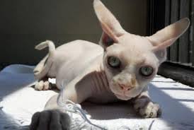 После вечеринки..