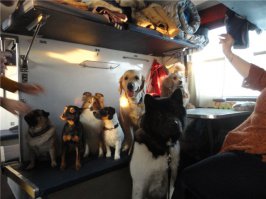 Прикольные фото внутри плацкарта