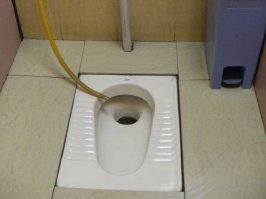 Кстати, такие туалеты гораздо удобнее в качестве общественных: садиться на общие унитазы неприятно, а карабкаться на них опасно.  Поза "орла" более функциональна и холодный стульчак не раздражает.