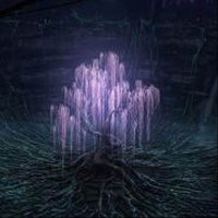 Глициния. В Аватаре похожее дерево