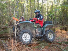 поддерживаю полностью.гриззли форева.