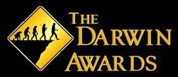 Я думаю, что 1, 4, 5, 8, 12 и 14 могут попасть в номинацию: