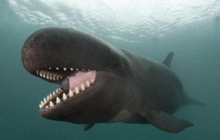 10 фотографий, после которых вы потеряете страх глубины