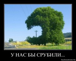 17 примеров бережного отношения к природе