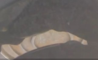 Молодец, только вверх ногами!!!