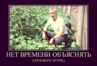 10 продуктов и 33 способа их использования совсем не по прямому назначению