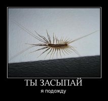 Подборка демотиваторов 