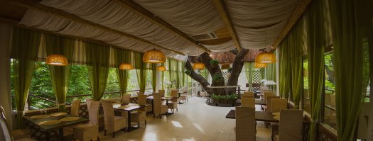 Кафе в городском парке в Саратове. Построено вокруг дуба. В парке рубить дубы нельзя.