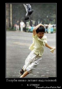 Пословицы и поговорки народов Грузии