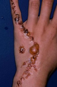 Искусство мехенди