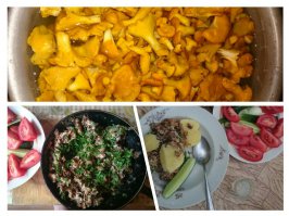 Собрал, пожарил и уничтожил!