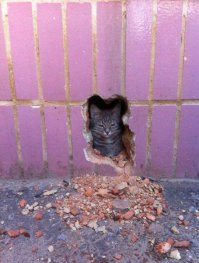 СПАСИБО !!!!!!!!!!!!!!!!!!!!!!!!!!!!!!!!!!!!!!!!!!!!!!!!!!!!!!!!!!!!!!


- ссылку на твой пост я дал на гугле+ ;)

- вот только  ..ВОПРОС : а без подключения к аккаунту гуга СОВСЕМ нельзя обойтись ?!?
   - нет ! - он у меня есть : [  ]
-- но  пароль к нему у меня немного заморочный .. - заКОлебусь набирать ( я его даже не помню..  лежит отдельным файлом )
- ну а так , ещё раз : С П А С И Б О !