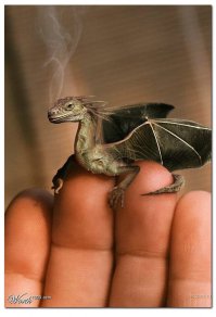 Извини...
 
- 1 скачивать игры можно и НЕ с плей маркета..
 2 гугл+ соц сеть от ГУГЛА ( международная, а не местечковая))
3 попытаемся
    извини за "котизм". . .