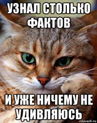 10 удивительных фактов, о которых вы, возможно, не знали