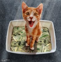 Самые дорогие обычные вещи