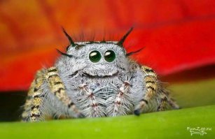 "ЗдорОво, братан!..";)