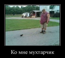 Пост про сильных и независимых мужчин