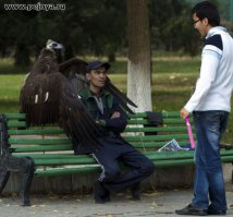 Человеческие зоопарки в Европе 