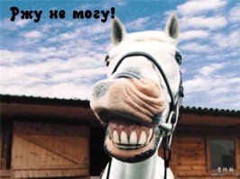 Это мой телефон!