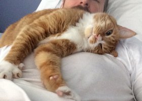 И бородатый, и вполне брутальный, но наш рыжик всё равно балованный :)