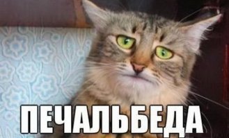 Самые дорогие обычные вещи