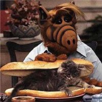 Маринованного кота заказывали? 