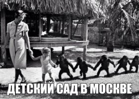 у каждого свои питомцы