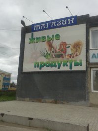 Прикольные надписи и объявления