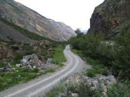 дорога вдоль Чулышмана