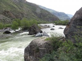 в долине Чулышмана