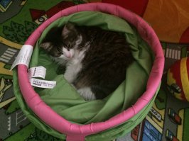 Вот только так и ловим :)