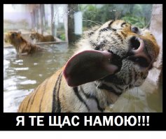 Самая страшная площадка