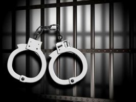 Ага!!! А за бояны в тюрьму садить!!!