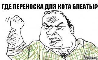 13 хитростей, которые сделают жизнь немного легче и приятнее