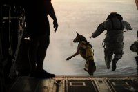 США: солдат 10 группы сил специального назначения прыгает с парашютом вместе со специально обученным псом.

Парашют одела только собака, потому как обученная, в отличии от американского спецназовца