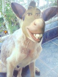 я тоже так делать люблю ;)