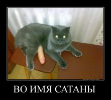 когда проснулся с утра