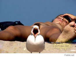 14 неловких моментов, пойманных на камеру