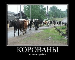 "Кирилл", по ходу щас рад. Он джва года хотел эту игру, а вот она в реальности. По ходу на трассе могут не только убить но и отрубить руку и если пользователя не вылечат то он умрет, так же выколоть глаз... :) 
Жаль только, что домиков нет, но зато вместо эльфов французы - они почти эльфы :)