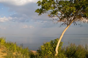 ТС,а где же соленое озеро Большое Яровое,что в Алтайском крае?