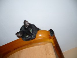 Мой старичок, 13 лет уже