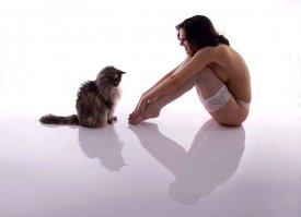 25 котов, которые так похожи на вас