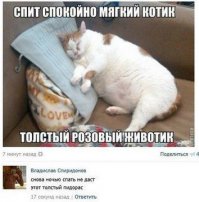 Смешные комментарии из социальных сетей