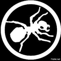 prodigy  вот они 90-е